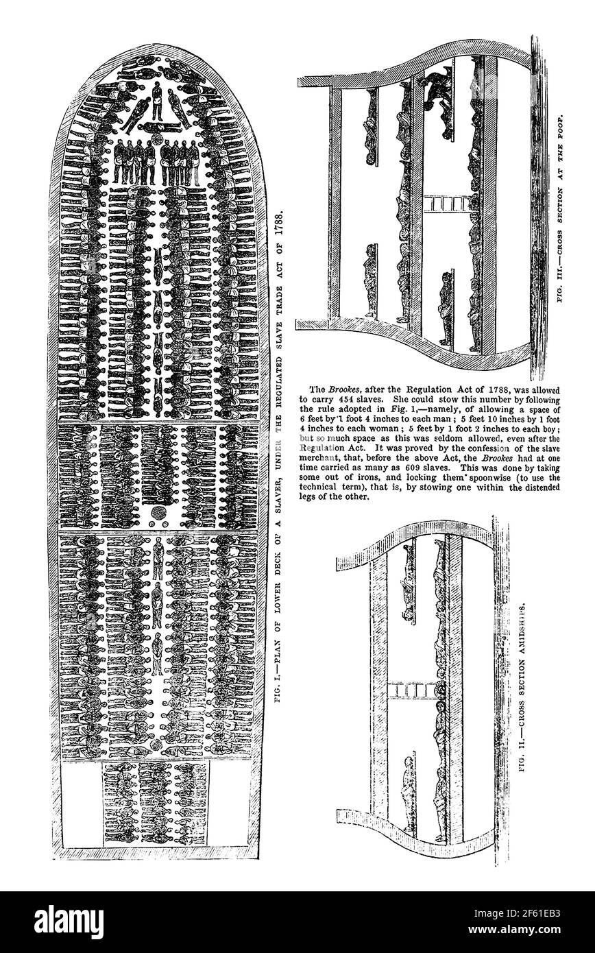 Brookes Slave Ship, Regulated Slave Trade Act of 1788 Stock Photo