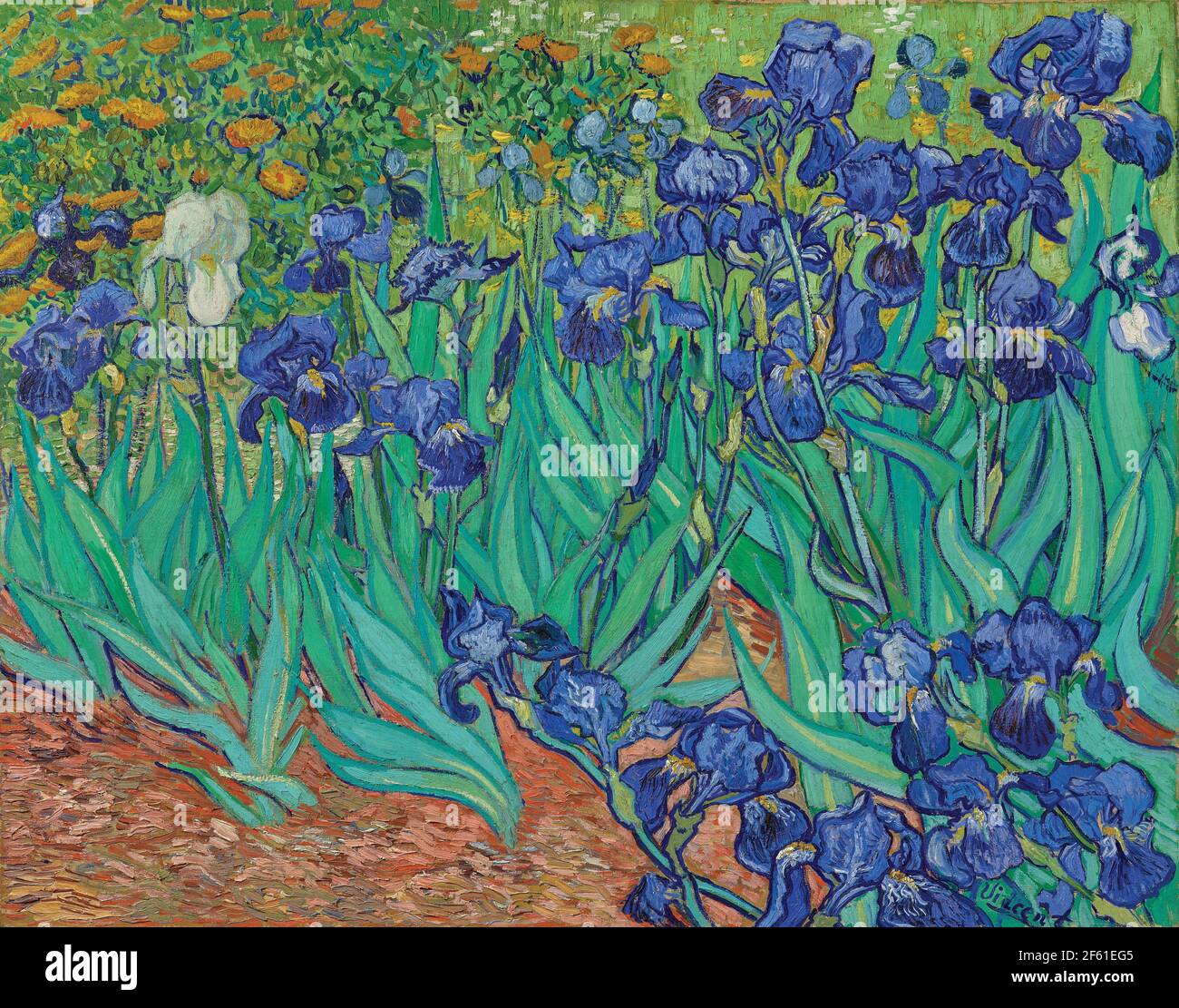 Irises by Vincent van Gogh.  Vincent van Gogh, 1853 - 1890, Dutch Post-Impressionist artist.  Irises was painted in 1889 while van Gogh was in the asylum at Saint-Rémy-de-Provence.  The work is in the collection of the J.Paul Getty Museum in Los Angeles. Stock Photo