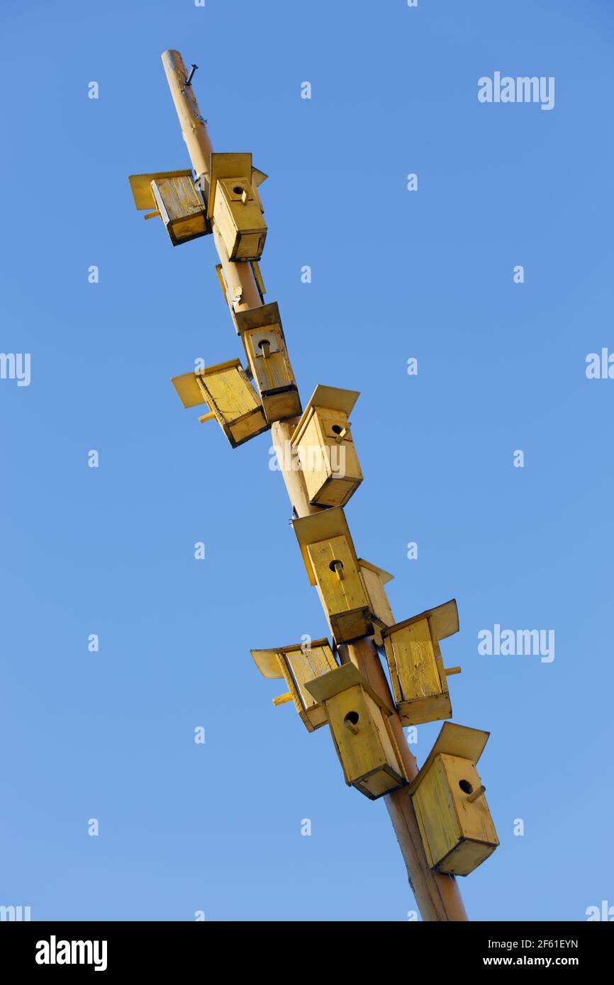 Birdhouses on a pole hires stock photography and images Alamy
