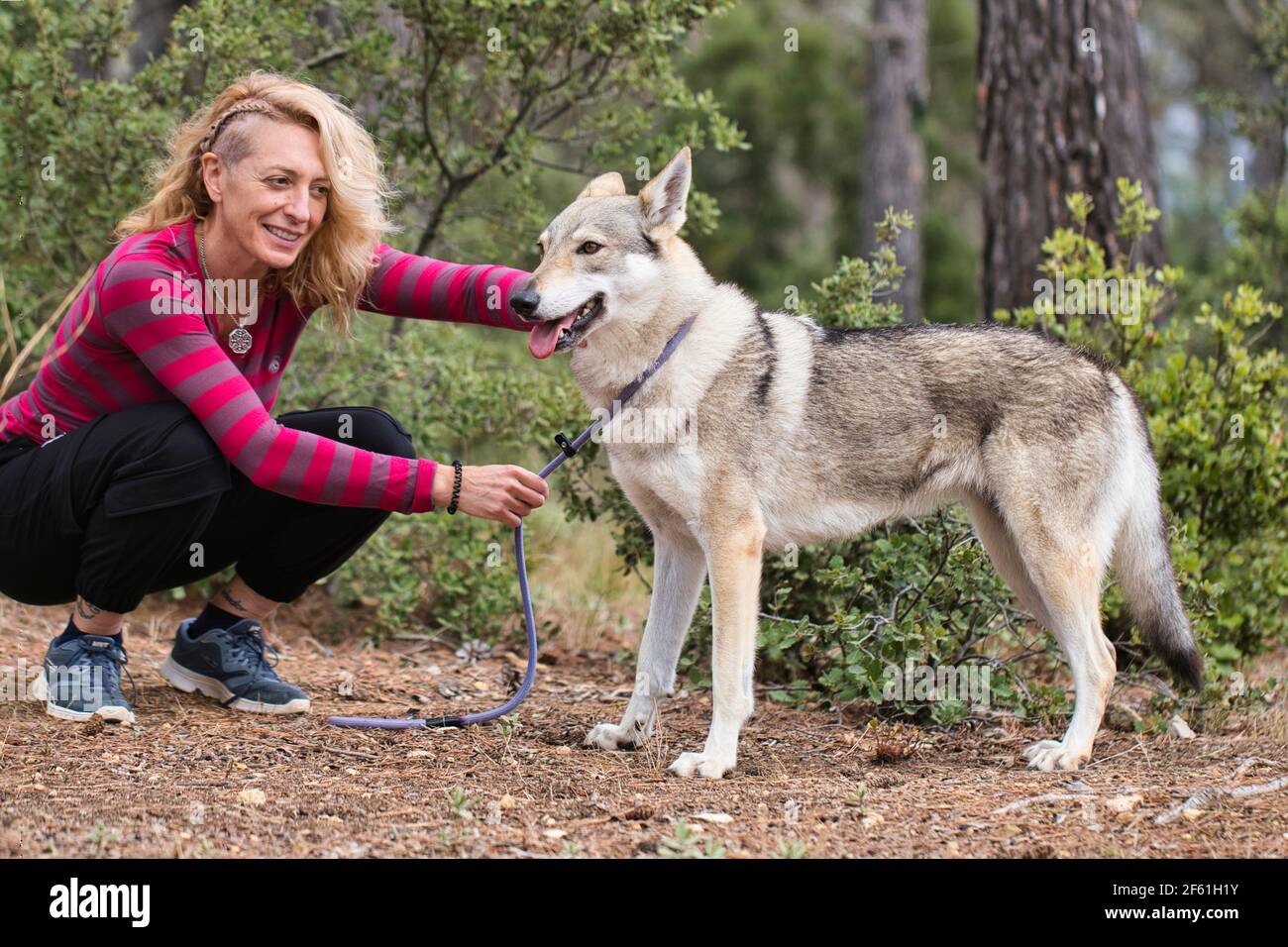 Young mature blonde woman with a wolf dog Stock Photo - Alamy