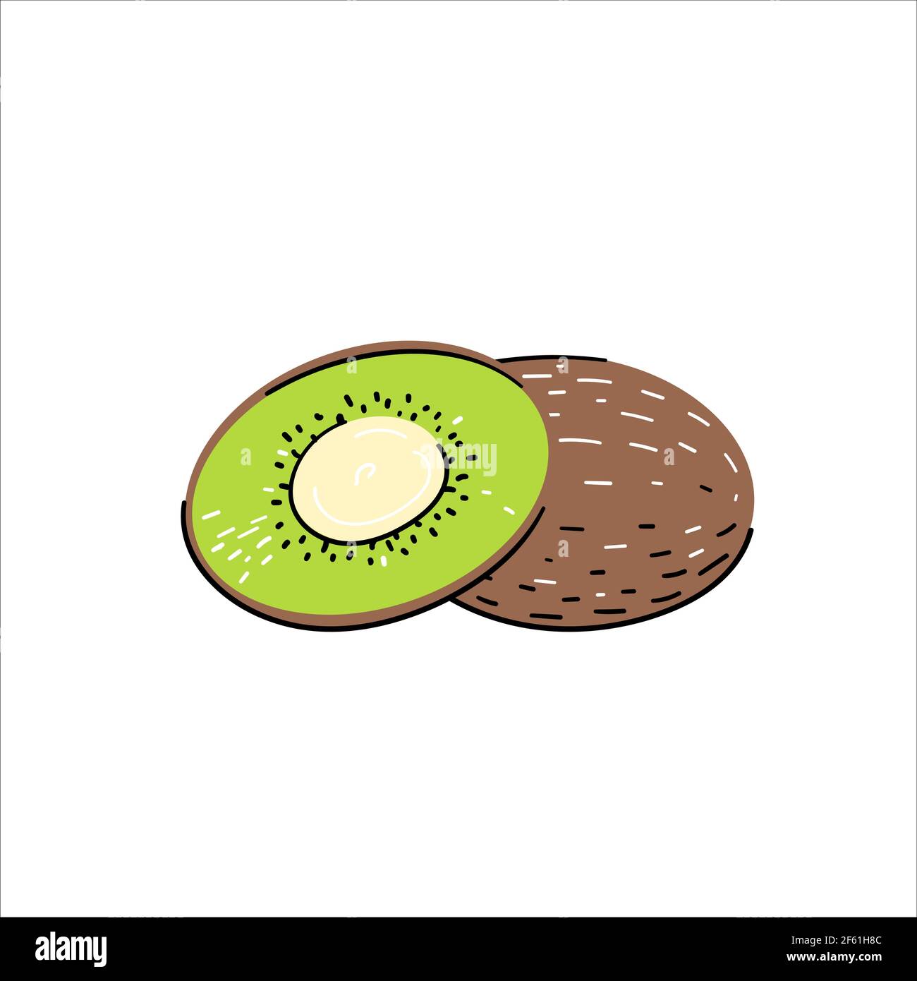 Kiwifruit or Chinese Gooseberry vector Stock Vector