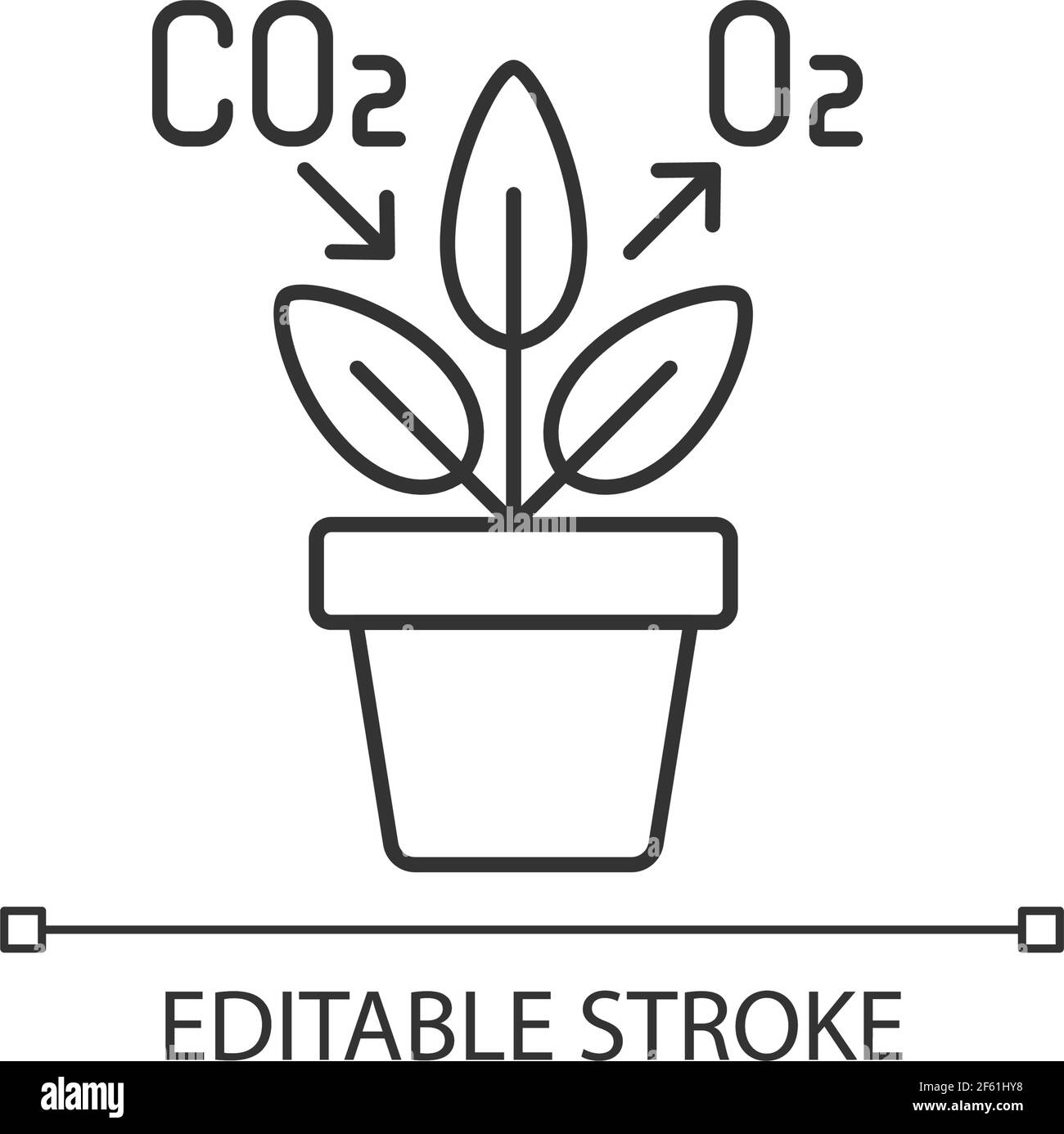 Air purifying plant linear icon Stock Vector