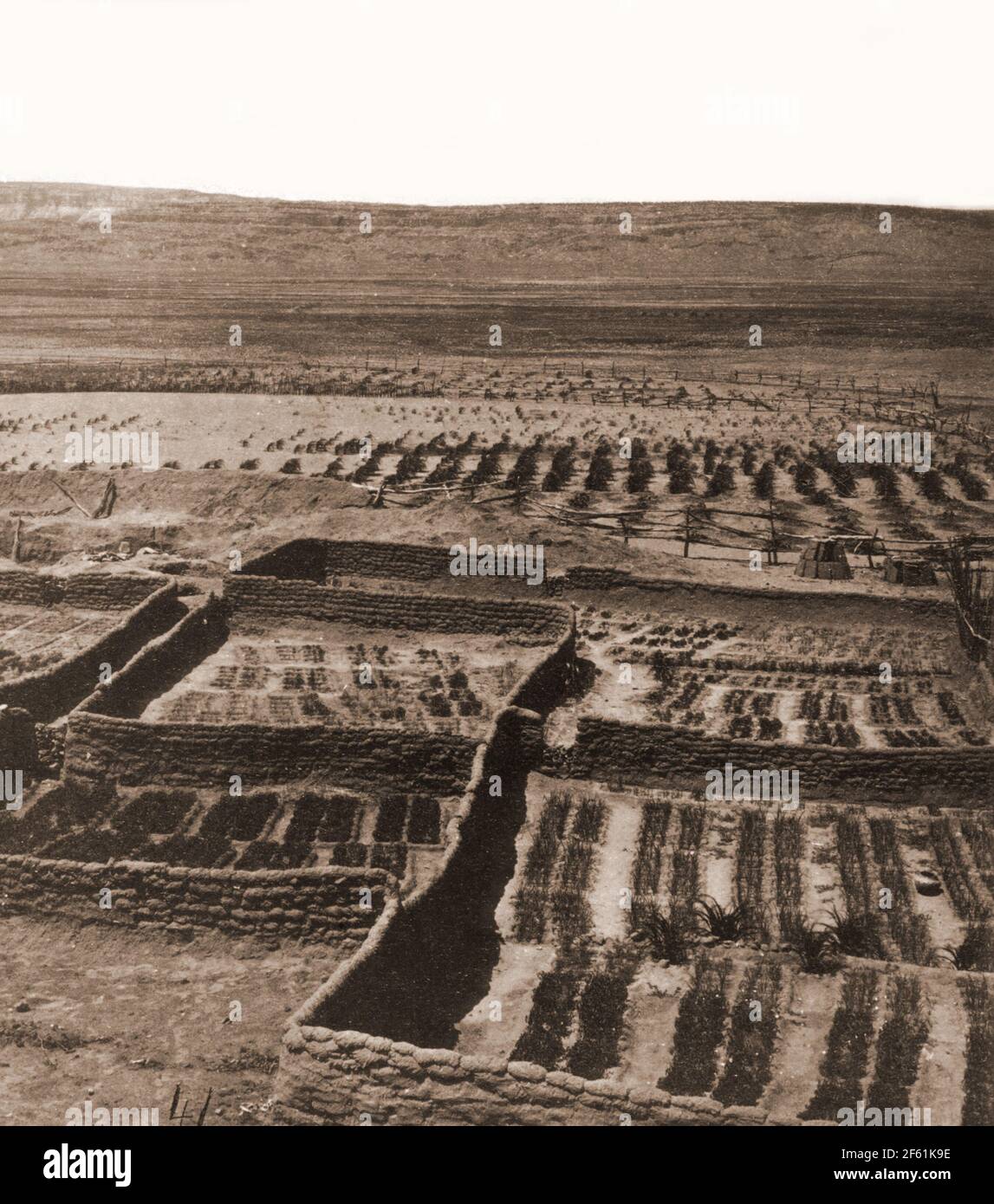 Zuni Pueblo Gardens, New Mexico, 1873 Stock Photo Alamy