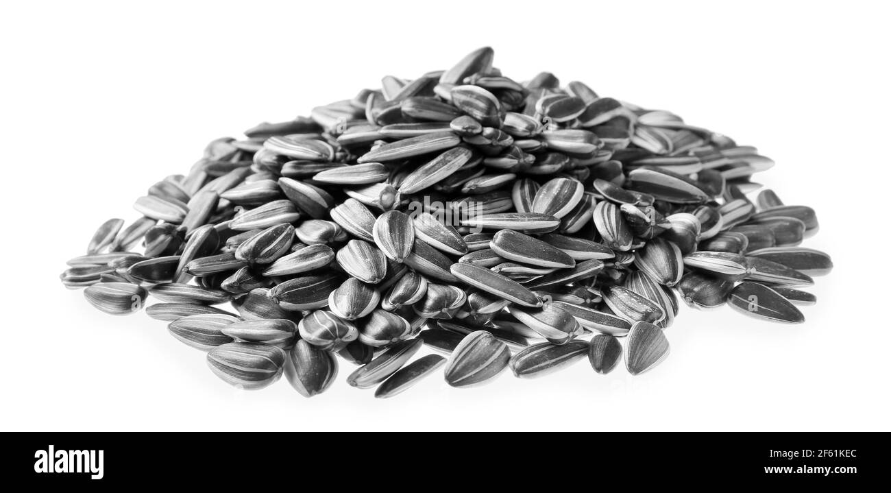 Sunflower seeds on white background Stock Photo Alamy