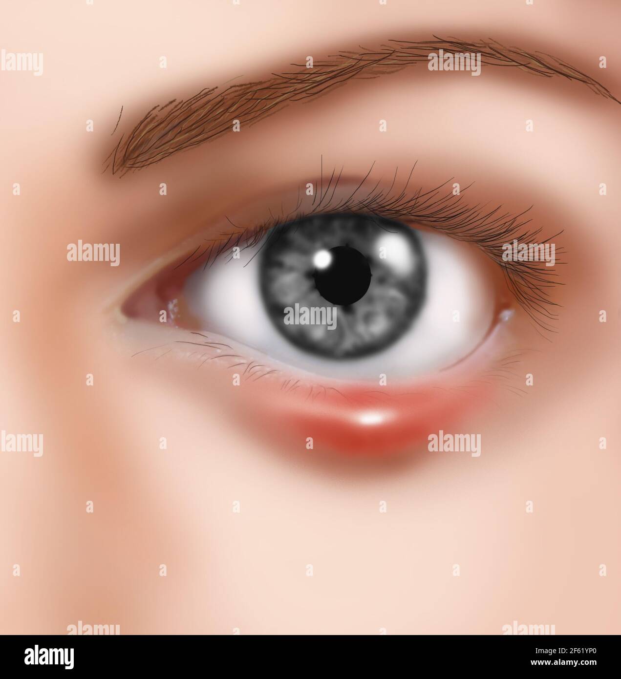 My Image 24