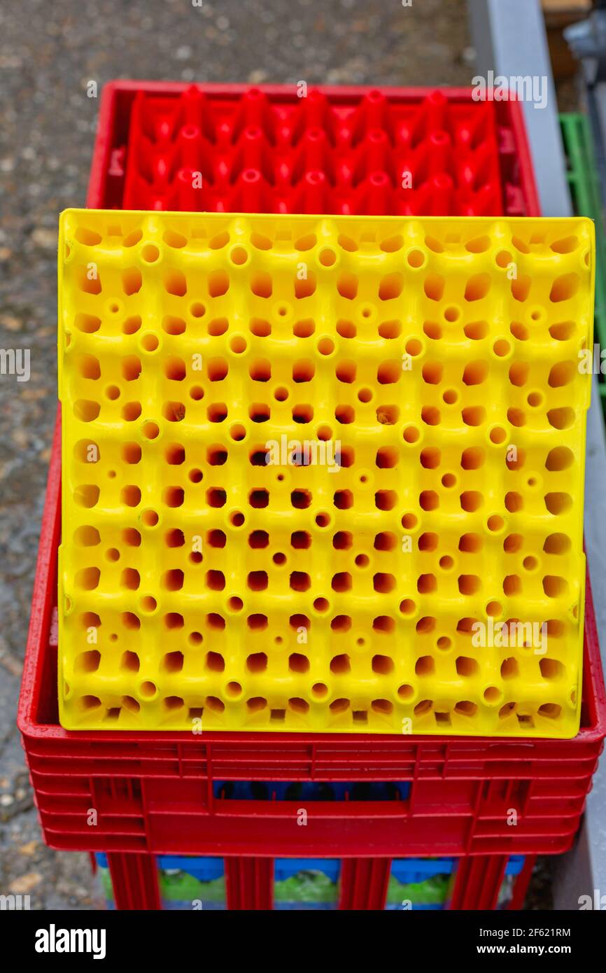 Yellow Plastic Egg Crate For Farm Production Stock Photo