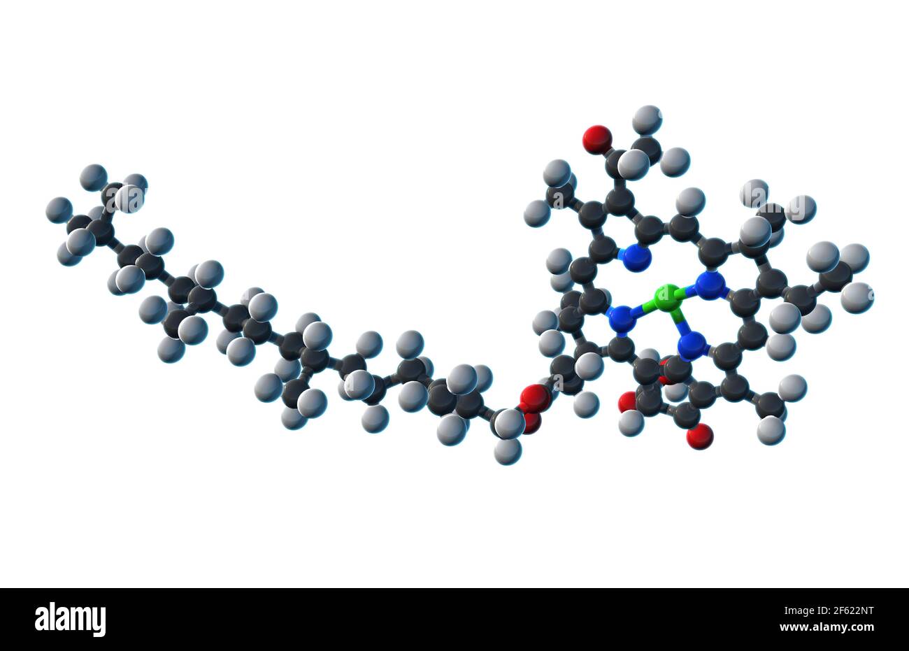 Chlorophyll, Molecular Model Stock Photo Alamy