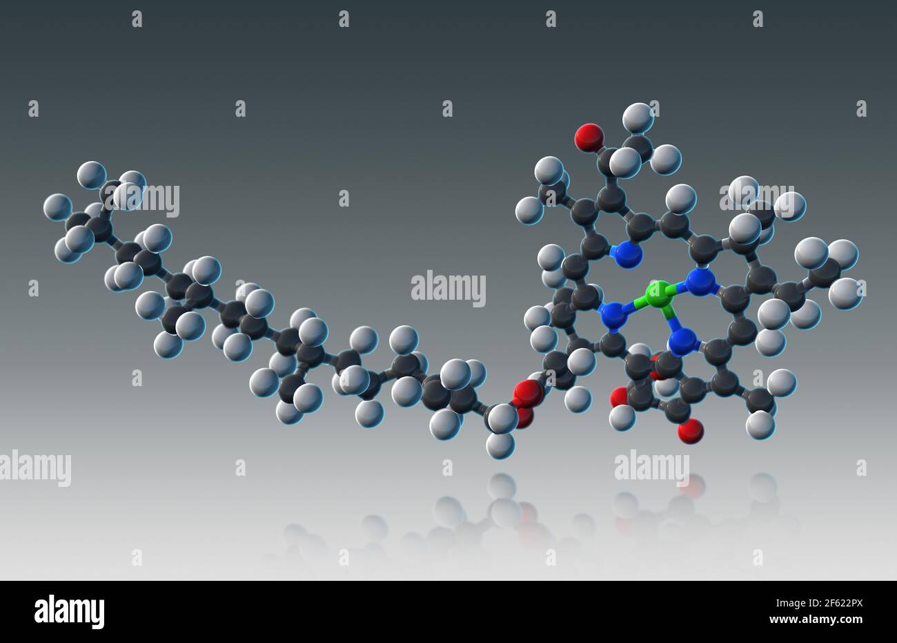 Chlorophyll, Molecular Model Stock Photo