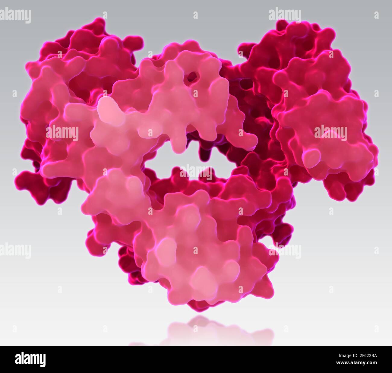 Antibody molecule hi-res stock photography and images - Alamy
