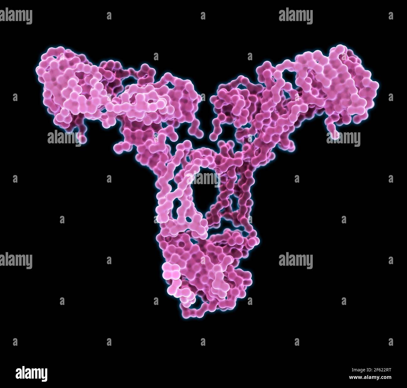 Immunoglobulin A, antibody Stock Photo