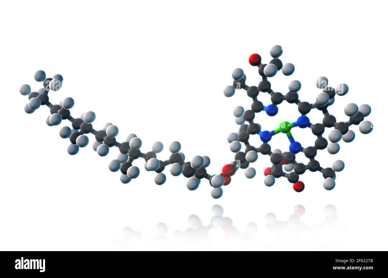 Chlorophyll, Molecular Model Stock Photo Alamy