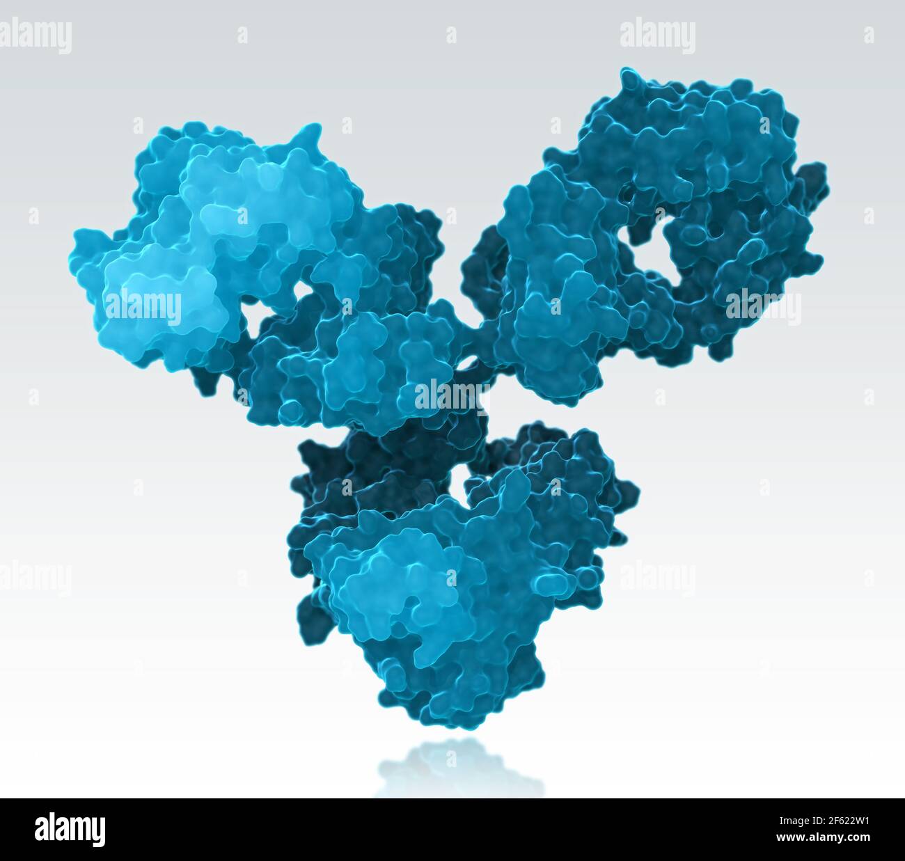 Antibody molecule hi-res stock photography and images - Alamy