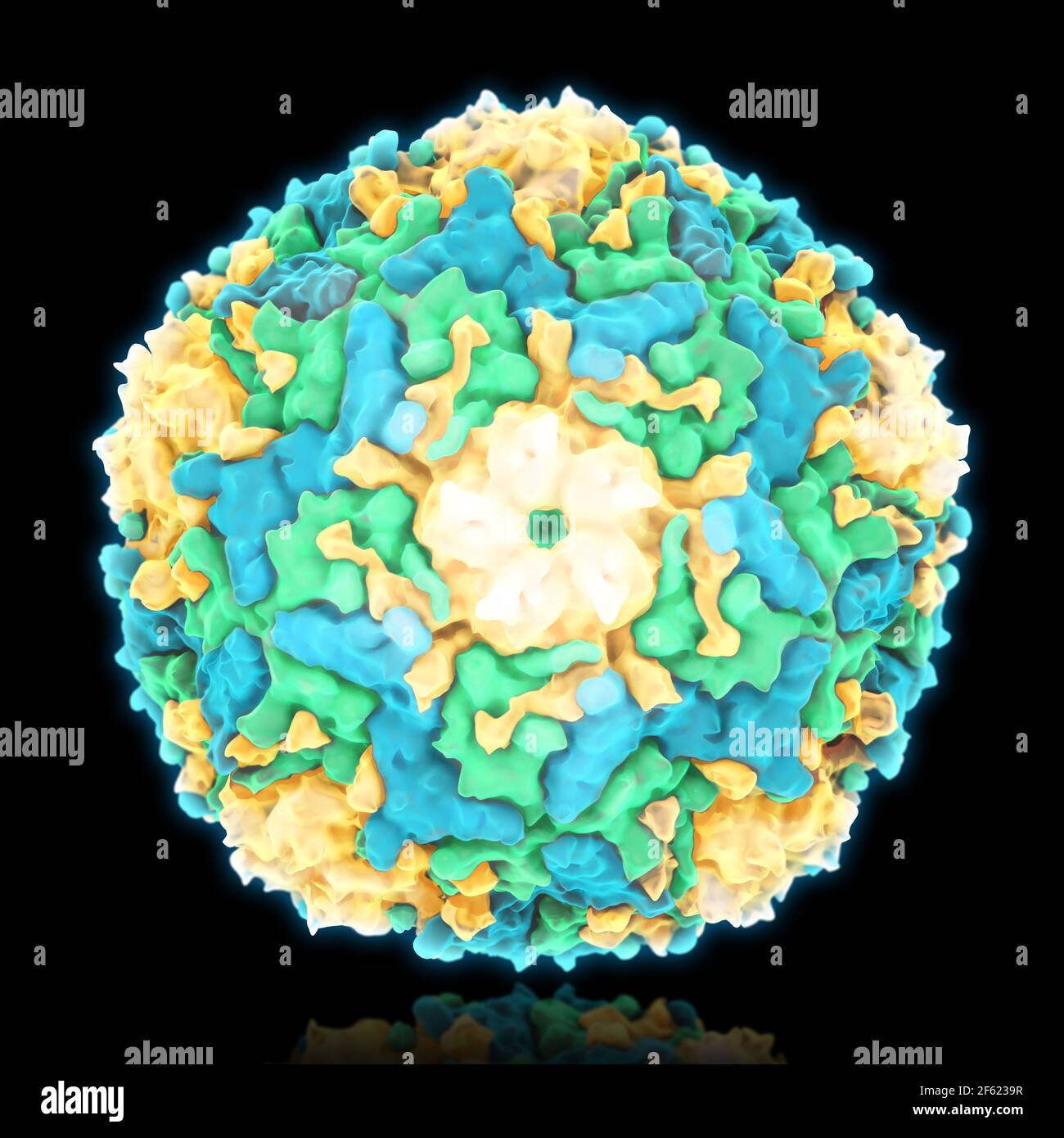 Enterovirus 71, molecular model Stock Photo