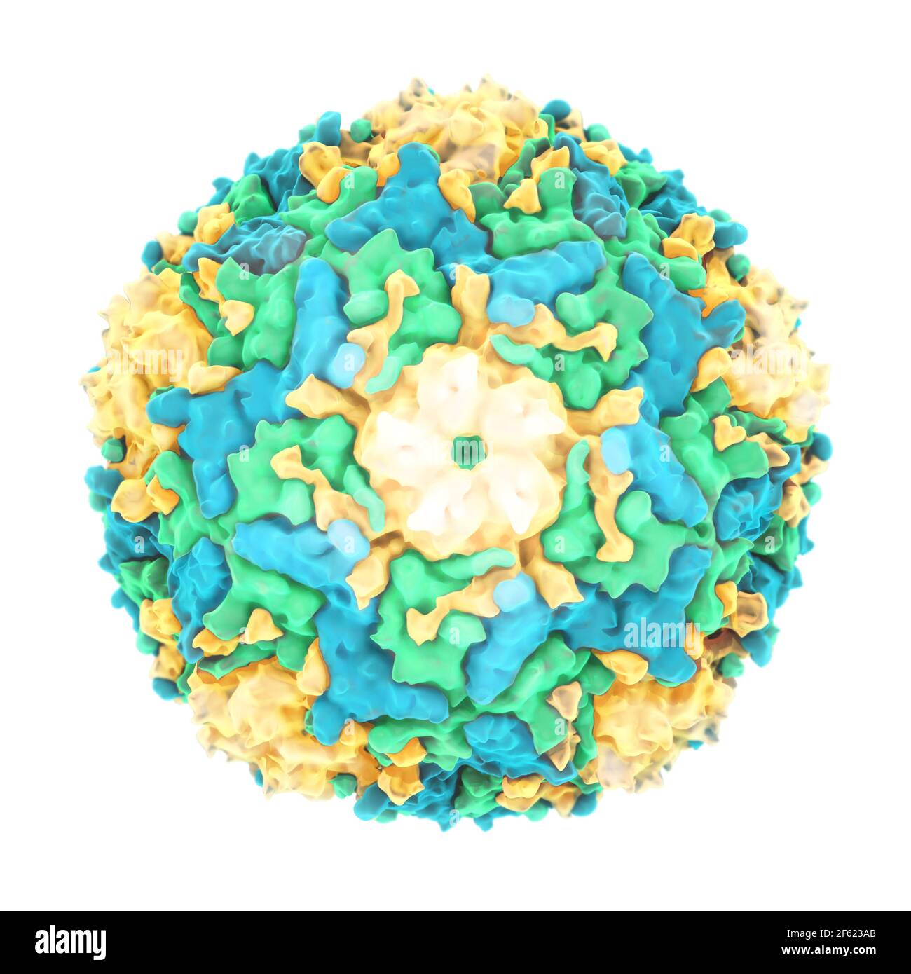 Enterovirus 71, molecular model Stock Photo