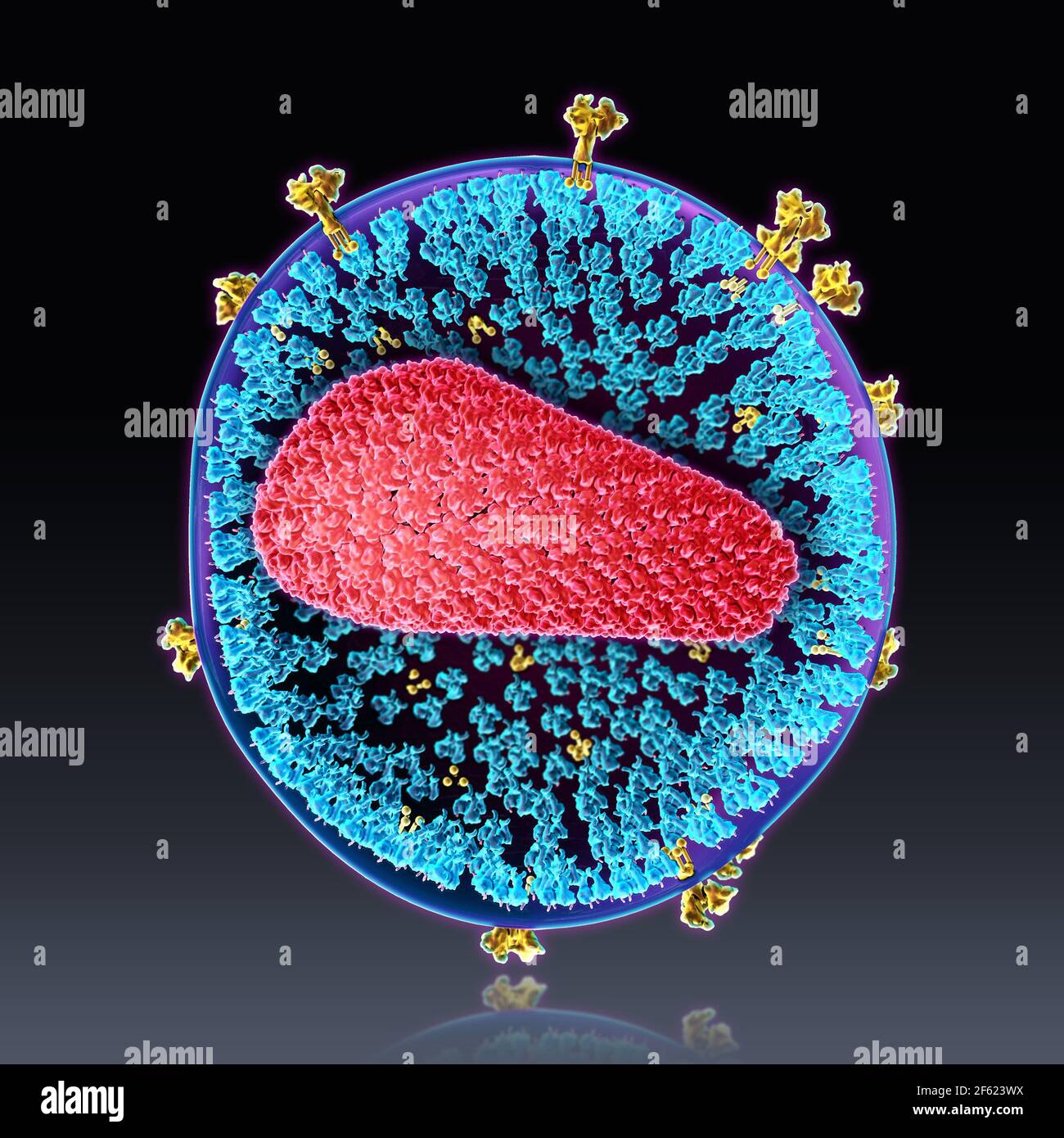 HIV, Molecular Model Stock Photo