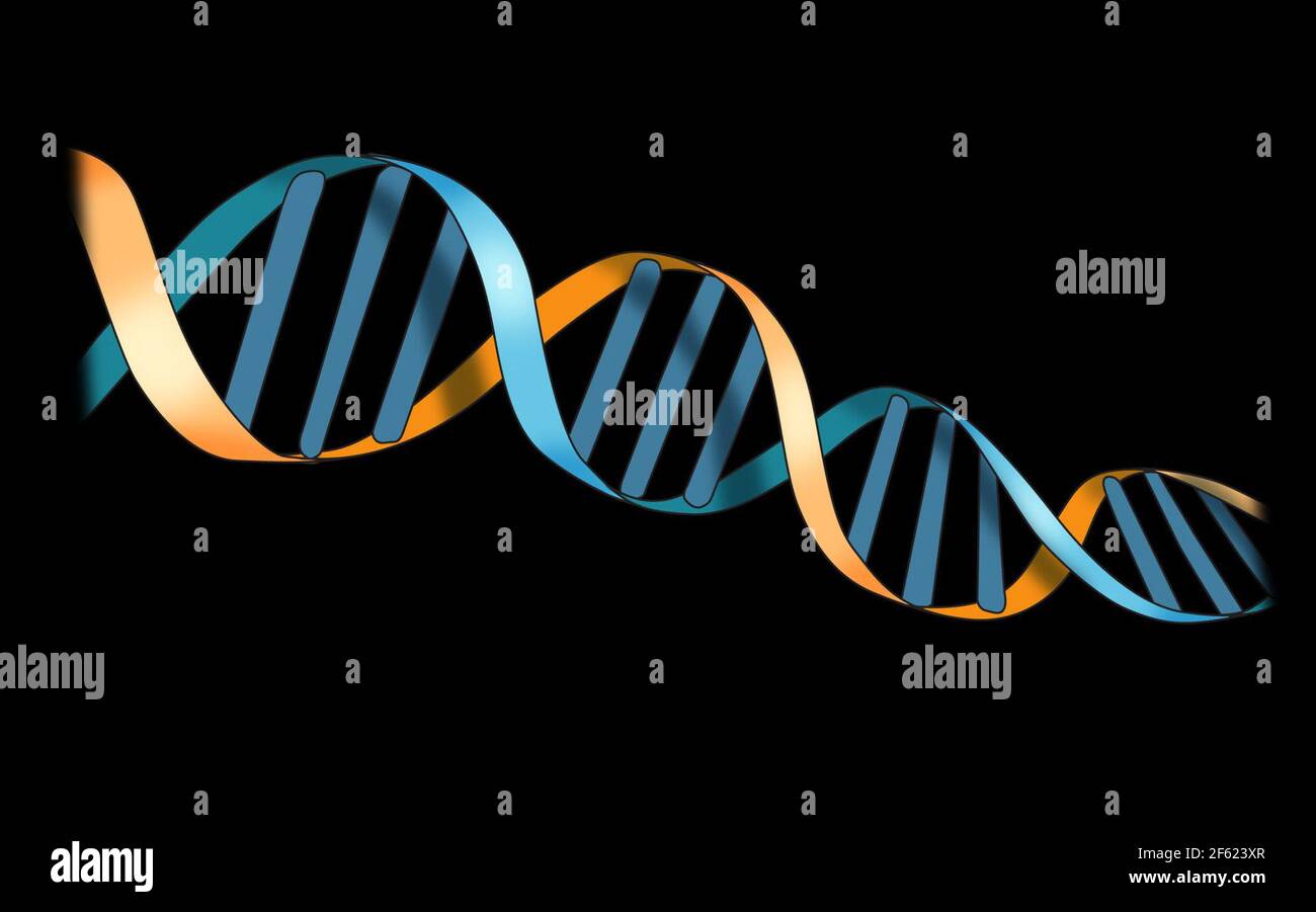 DNA, Double Helix, Illustration Stock Photo