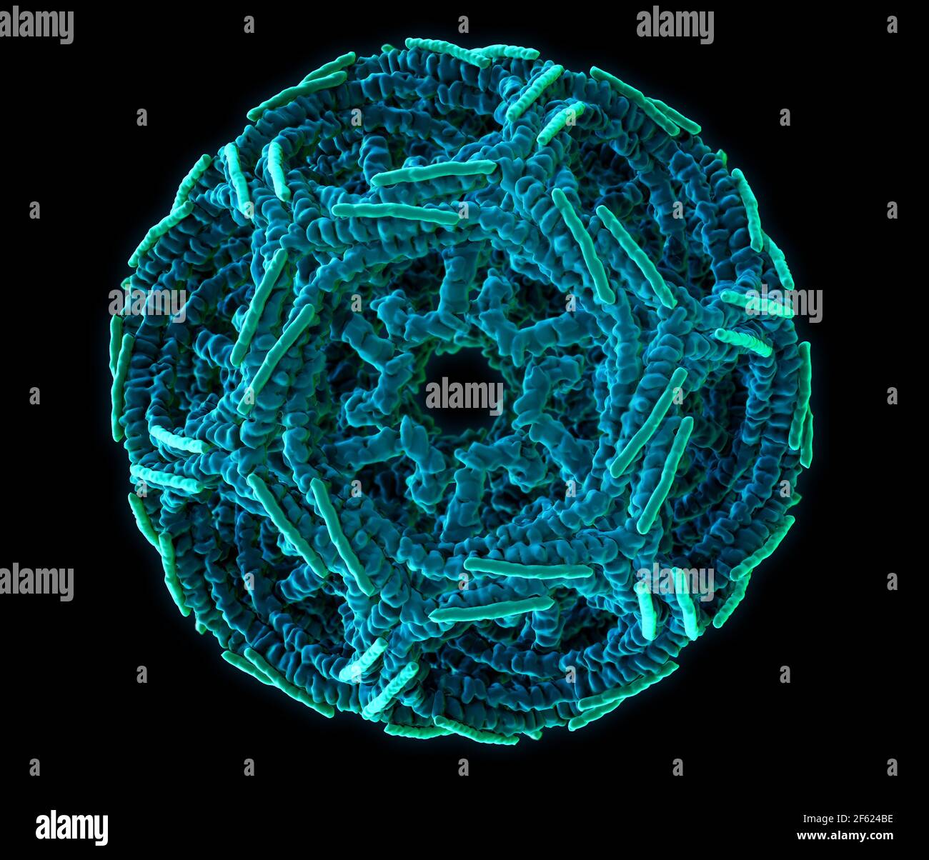 Clathrin Cage, Molecular Model Stock Photo
