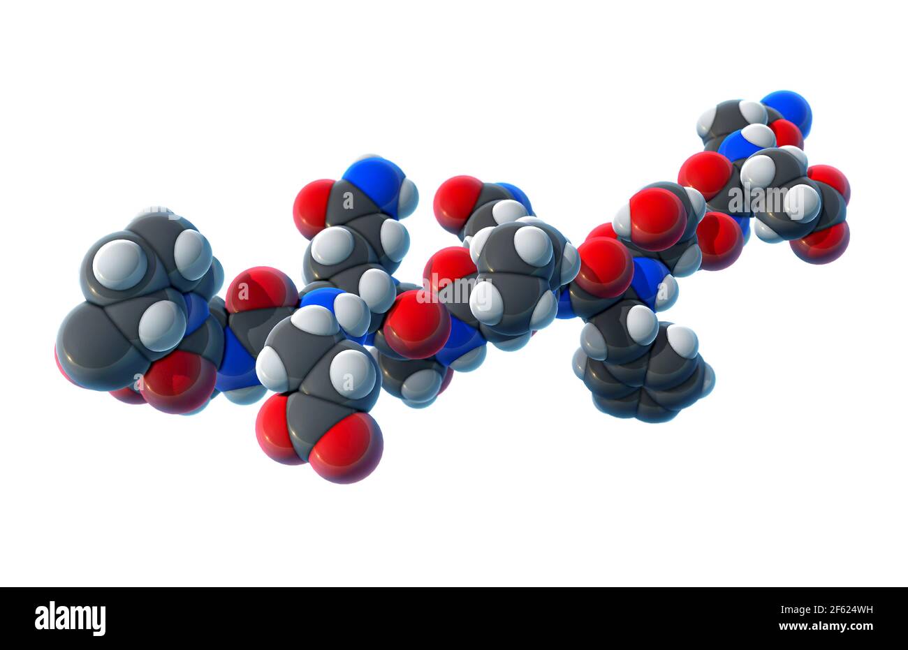 Gluten Peptide, molecular model Stock Photo