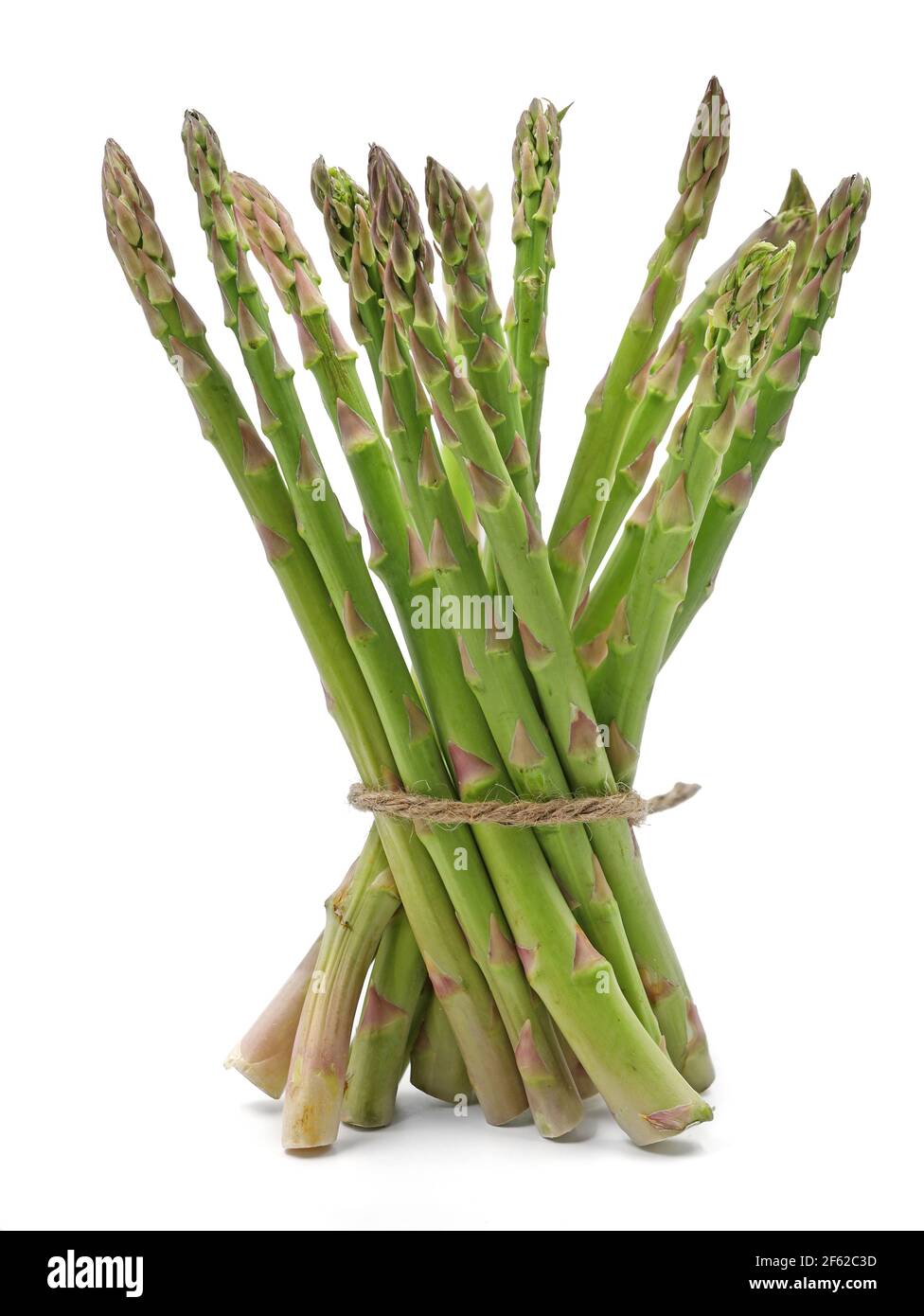 fresh asparagus wrapped with jute rope isolated on white background Stock Photo
