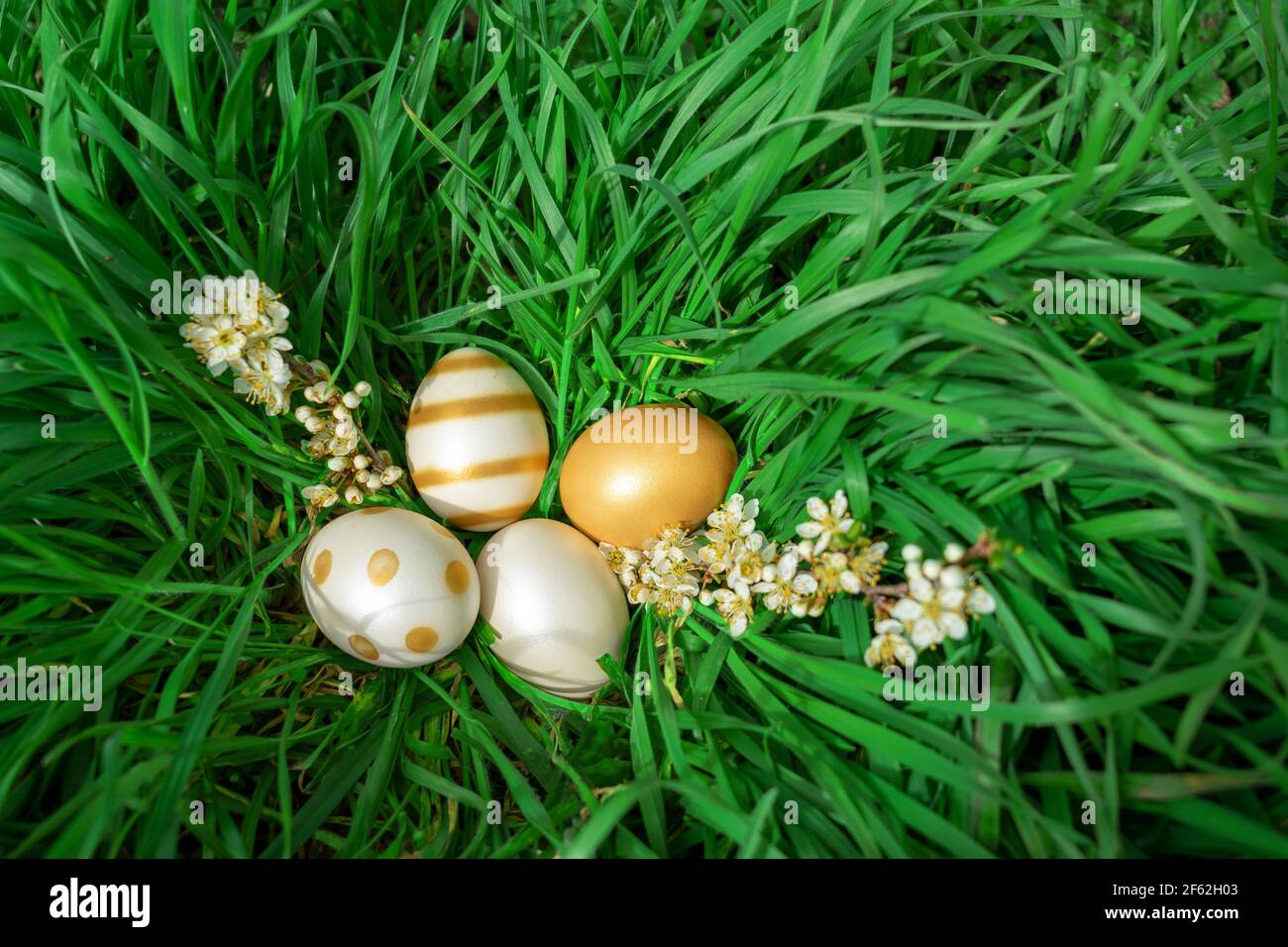 elegant gold white shiny eater eggs in the big green grass . Stock Photo
