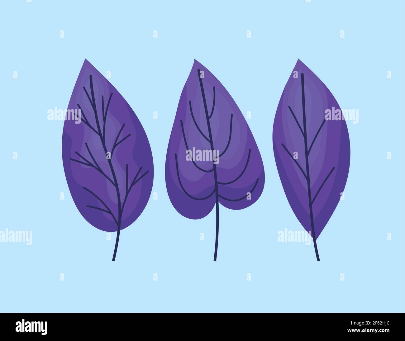 three purple leaves Stock Vector Image & Art - Alamy
