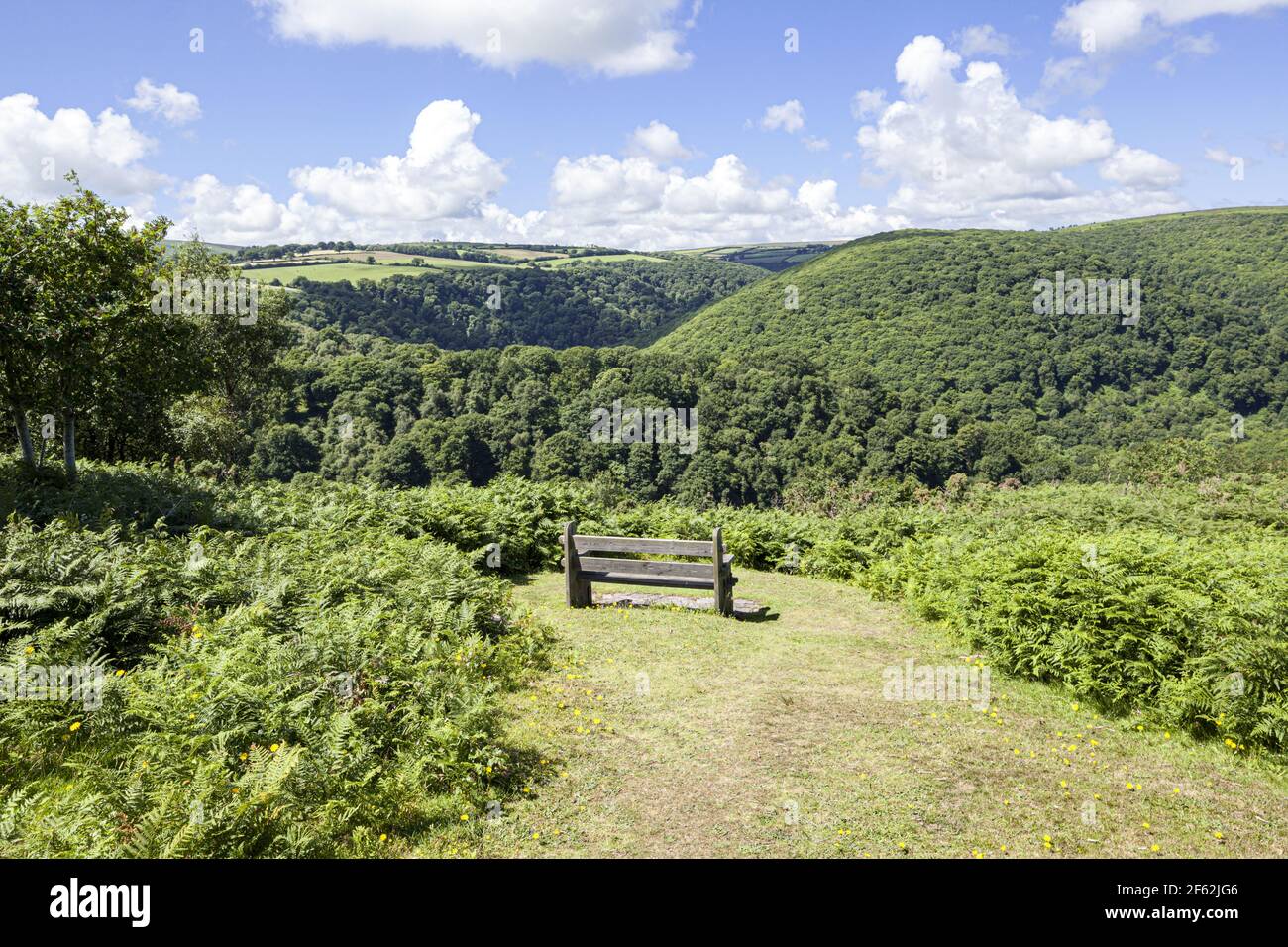 The view over Cloutsham Ball from Webbers Post viewpoint on Exmoor, Somerset UK Stock Photo