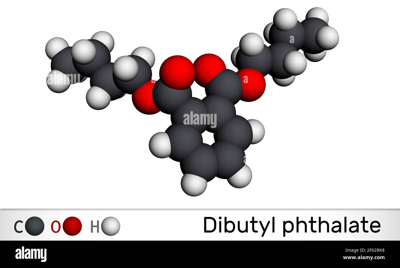 Dibutyl phthalate, DBP molecule. It is phthalate ester, diester. It is environmental contaminant, teratogenic agent, plasticiser. Molecular model. 3D Stock Photo