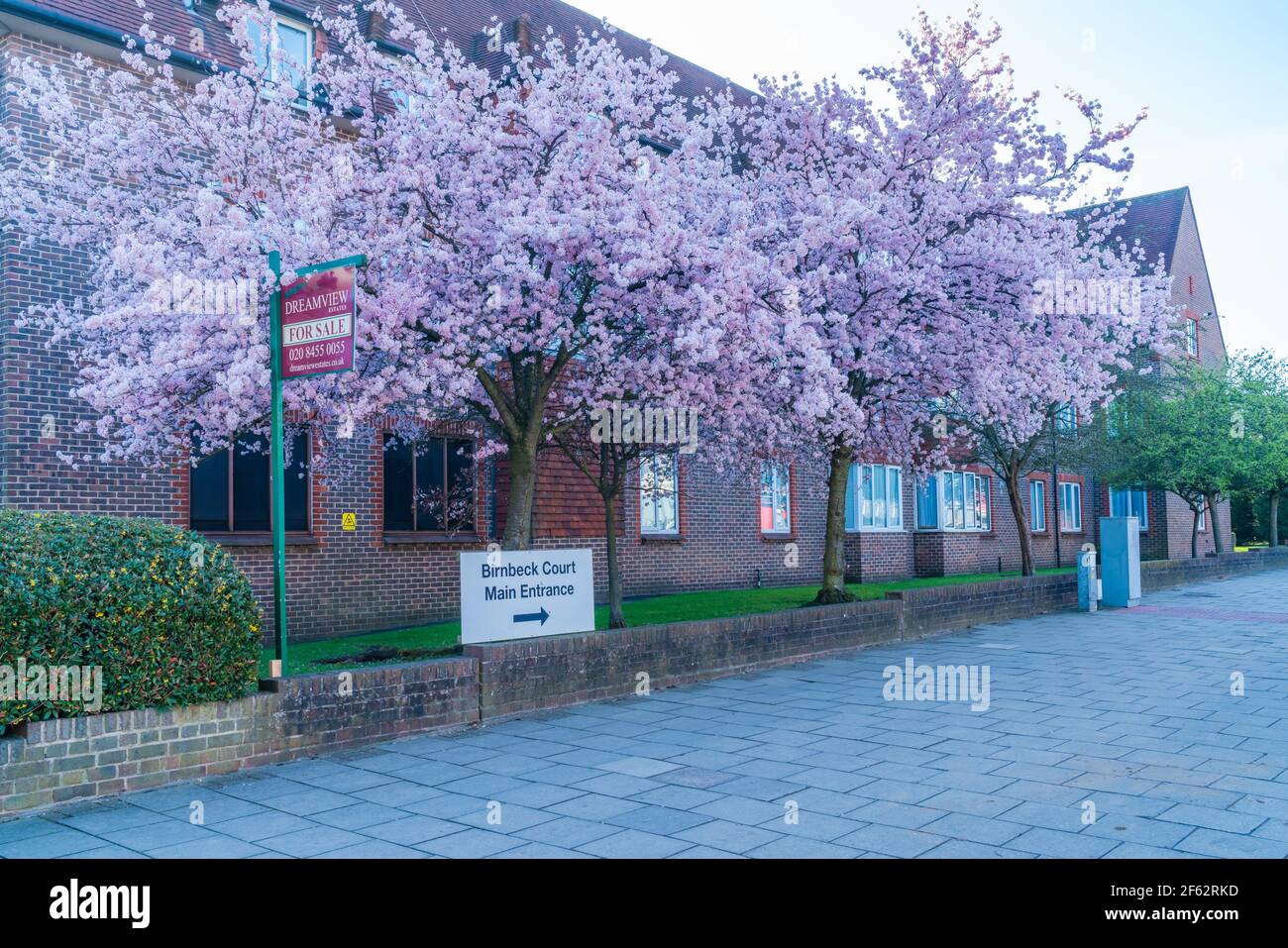 Suburb suburban tree hires stock photography and images Alamy