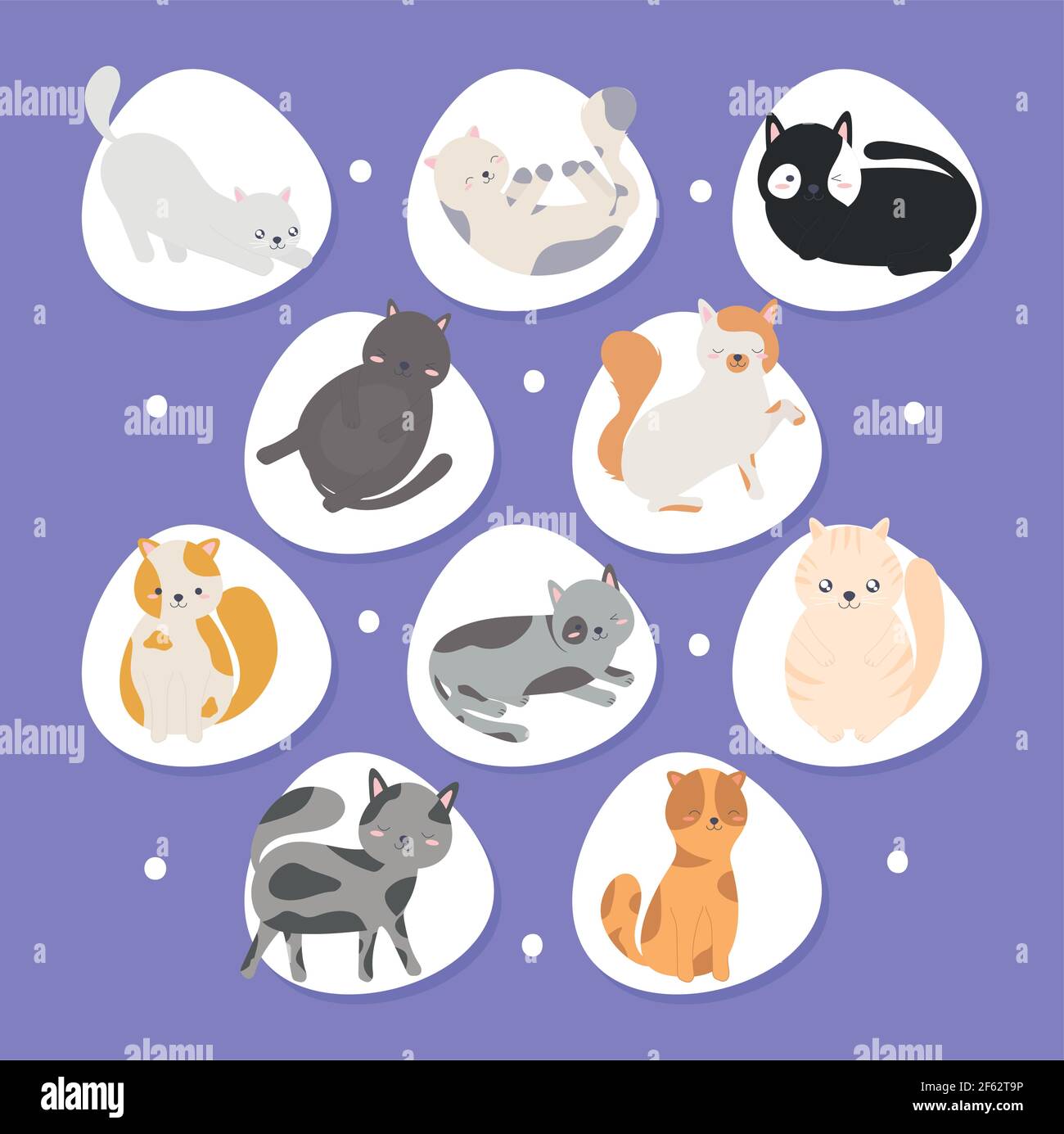 cute cats set Stock Vector Image & Art Alamy