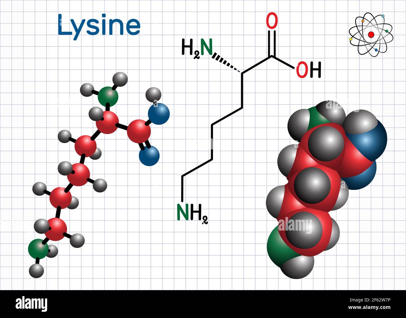 Lysine (L lysine , Lys, K) amino acid molecule. It is used in the