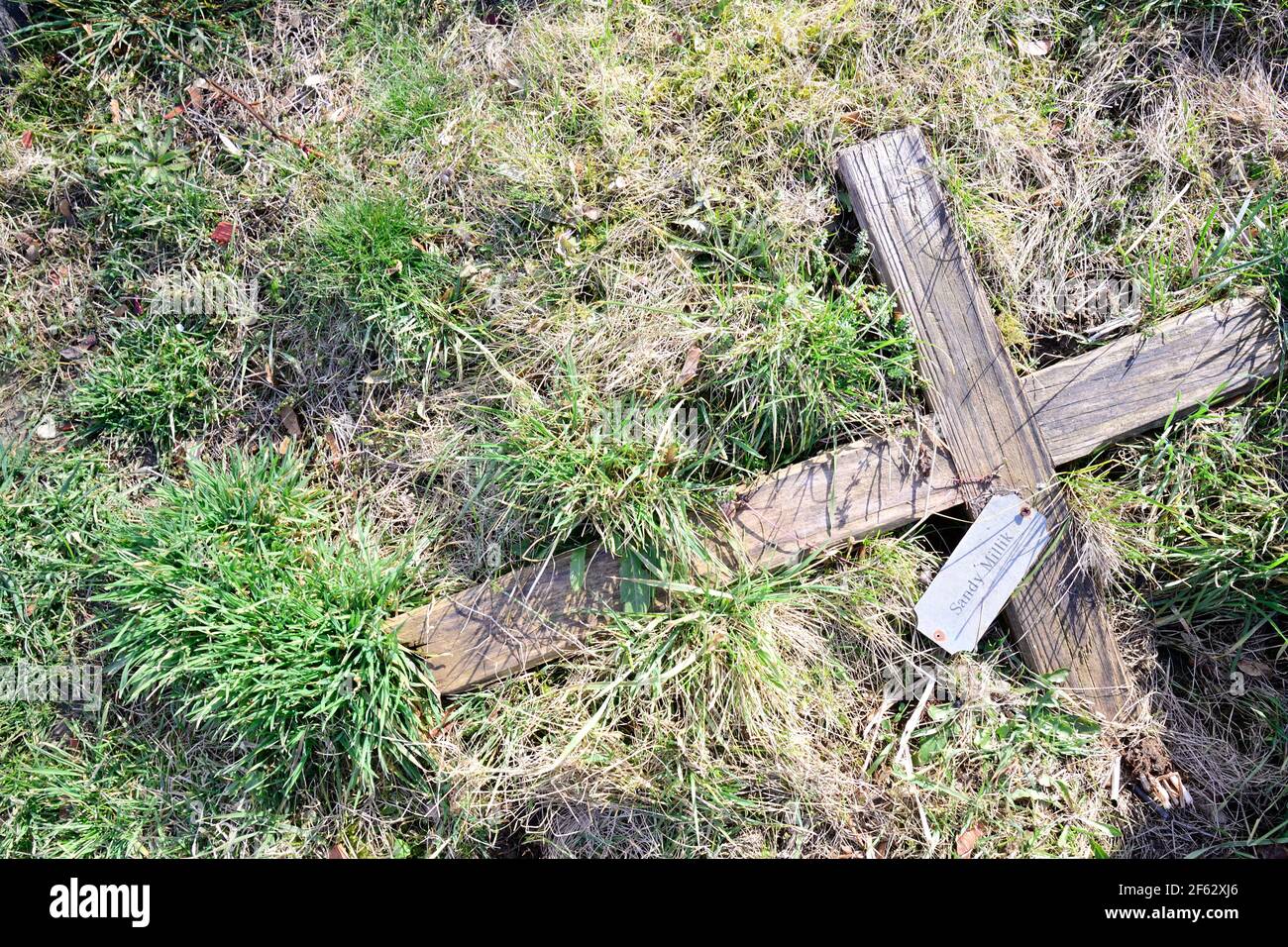 Vienna, Austria. The central cemetery in Vienna. Wooden cross from a ruined grave site Stock Photo