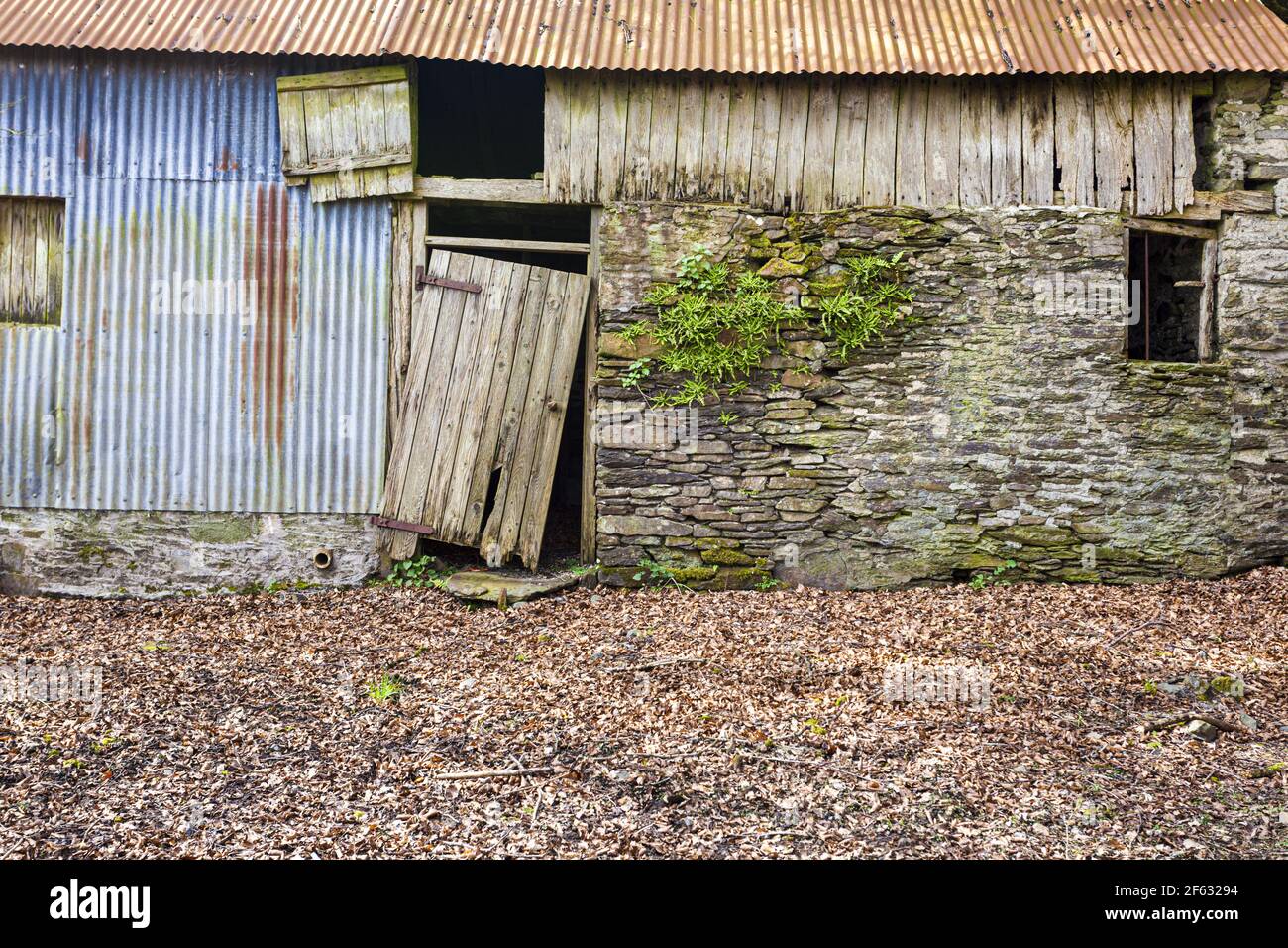A rather sad, delapidated barn in Exmoor National Park at Hawkridge, Somerset UK Stock Photo