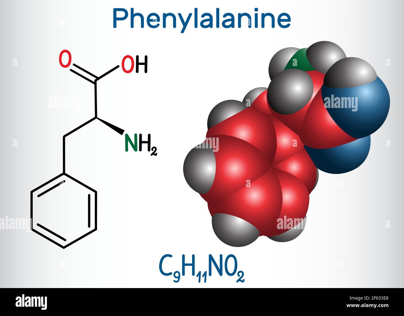 Phenylalanine (L phenylalanine, Phe , F) amino acid molecule