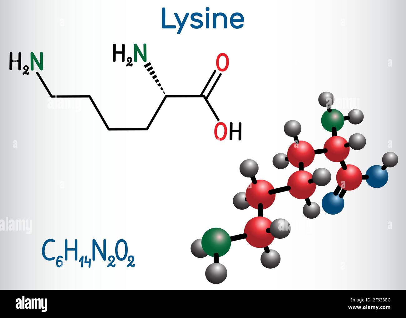 Lysine (L lysine , Lys, K) amino acid molecule. It is used in the