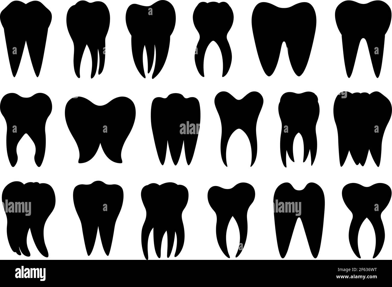 Set of different teeth isolated on white Stock Vector Image & Art - Alamy