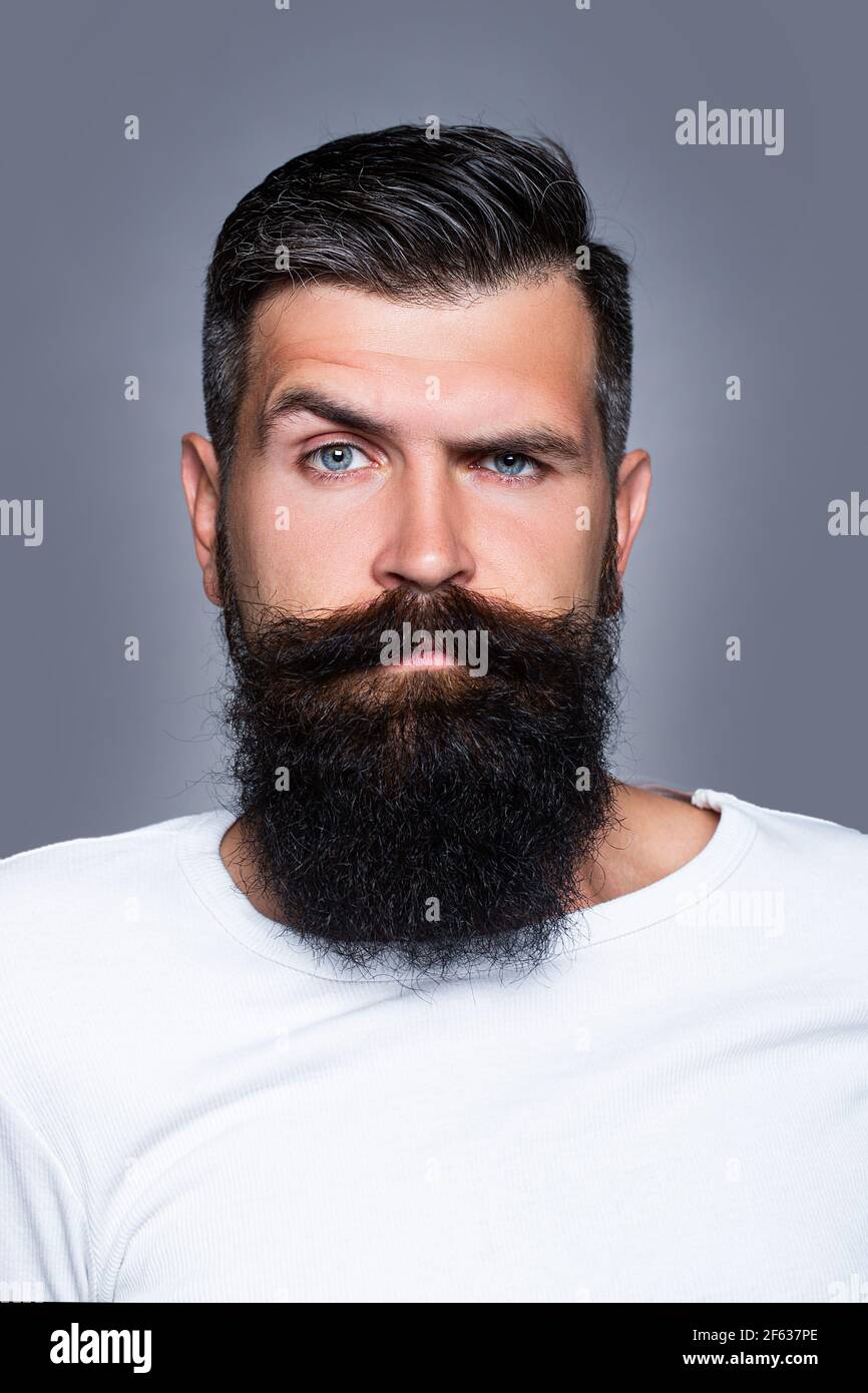 Handsome bearded man with long lush beard and moustacheon grey background Stock Photo - Alamy Handsome bearded man with long lush beard and moustacheon grey background Stock Photo - Alamy