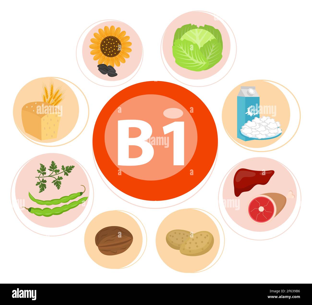 Infographic set of vitamin B1 and useful products spinach, carrot, nut
