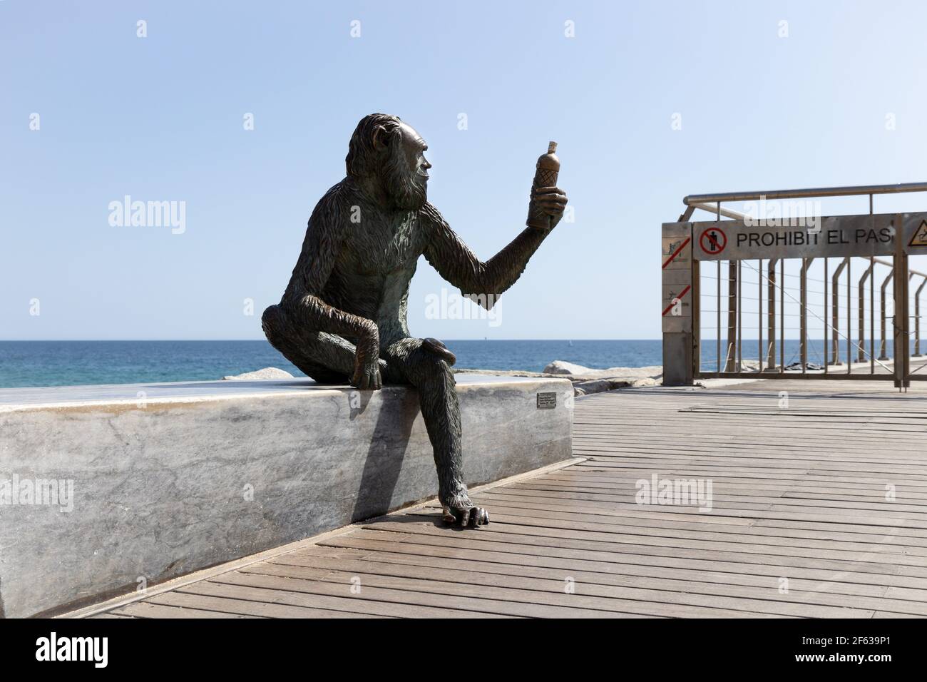 BADALONA, SPAIN-MARCH 29, 2021: Monkey statue on the seafront of Badalona by Susana Ruiz Blanch. The monkey has the face of Charles Darwin, and she ho Stock Photo