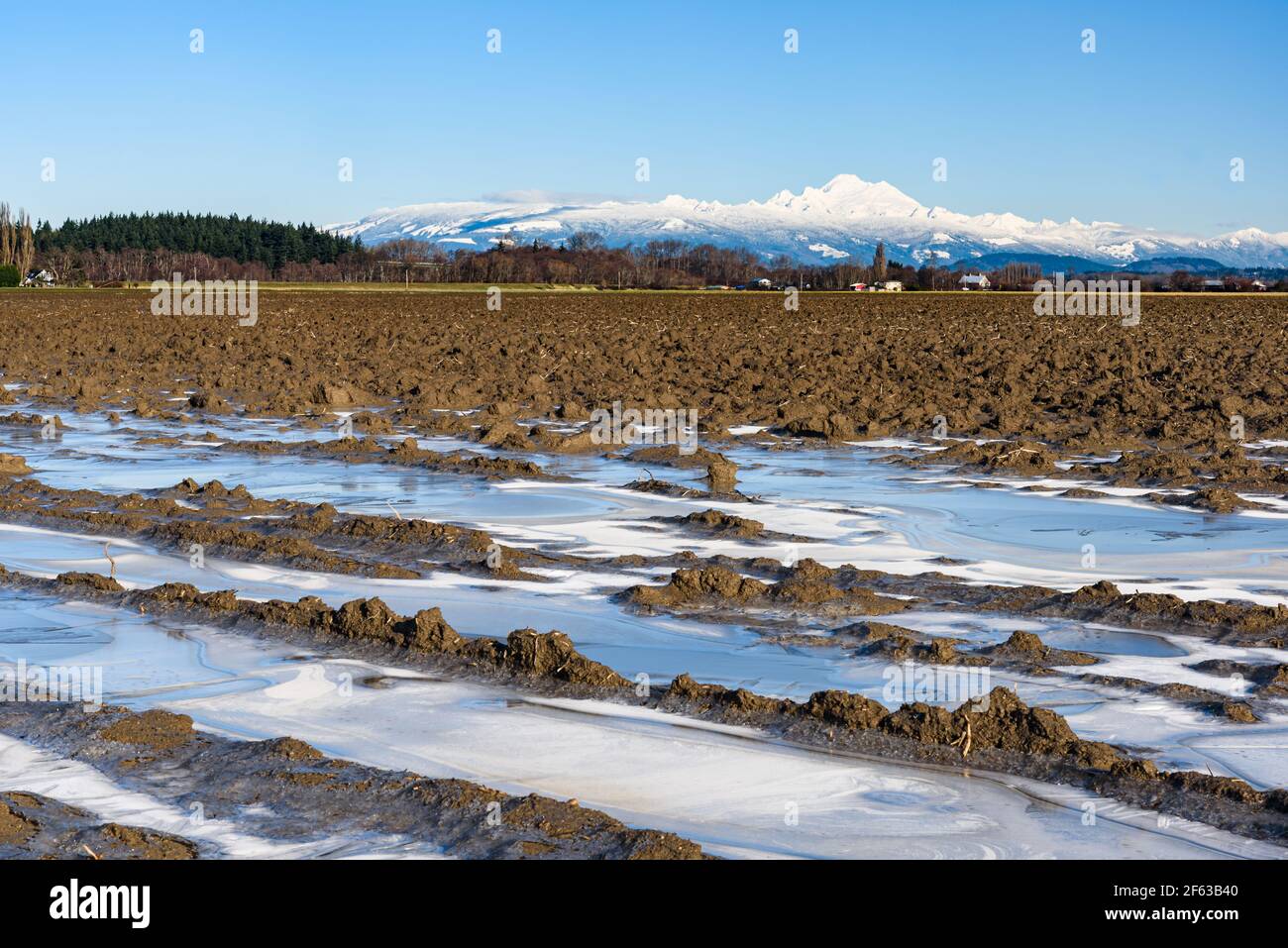 Wintertime in the Skagit Valley of Washington State with ice in the  ploughed fields and volcanic Mount Baker on the distant horizon on a clear day Stock Photo