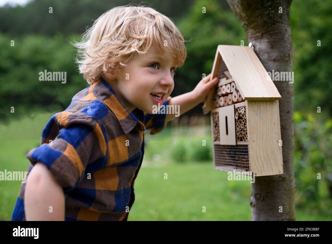 Small boy playing with bug and insect hotel in garden, sustainable