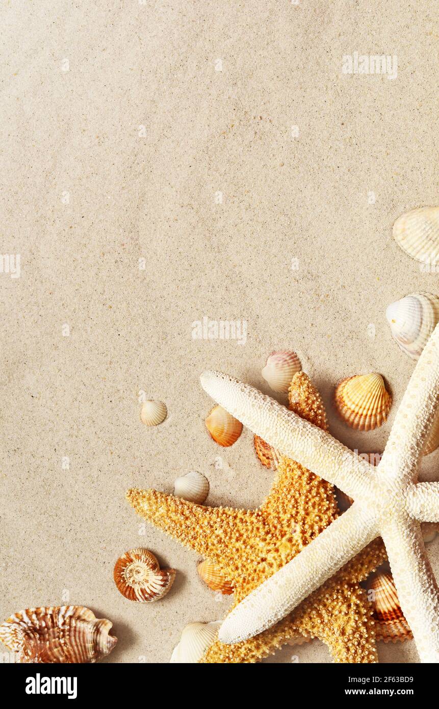 Starfish and seashells on the sandy beach. Summer background. Stock Photo