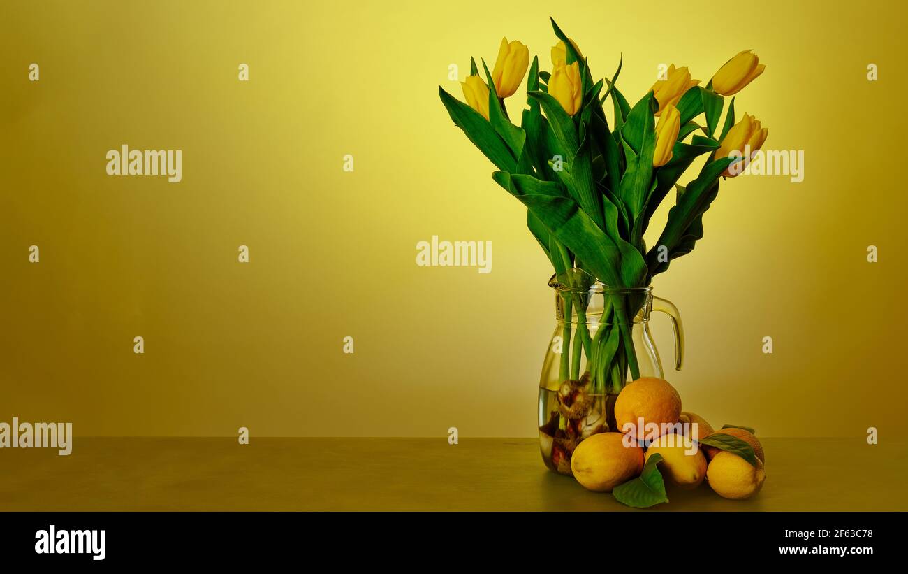Tulips are always up-to-date, modern and send us back to Holland, even though we know that they were originally grown in Turkey and given to Holland, Stock Photo