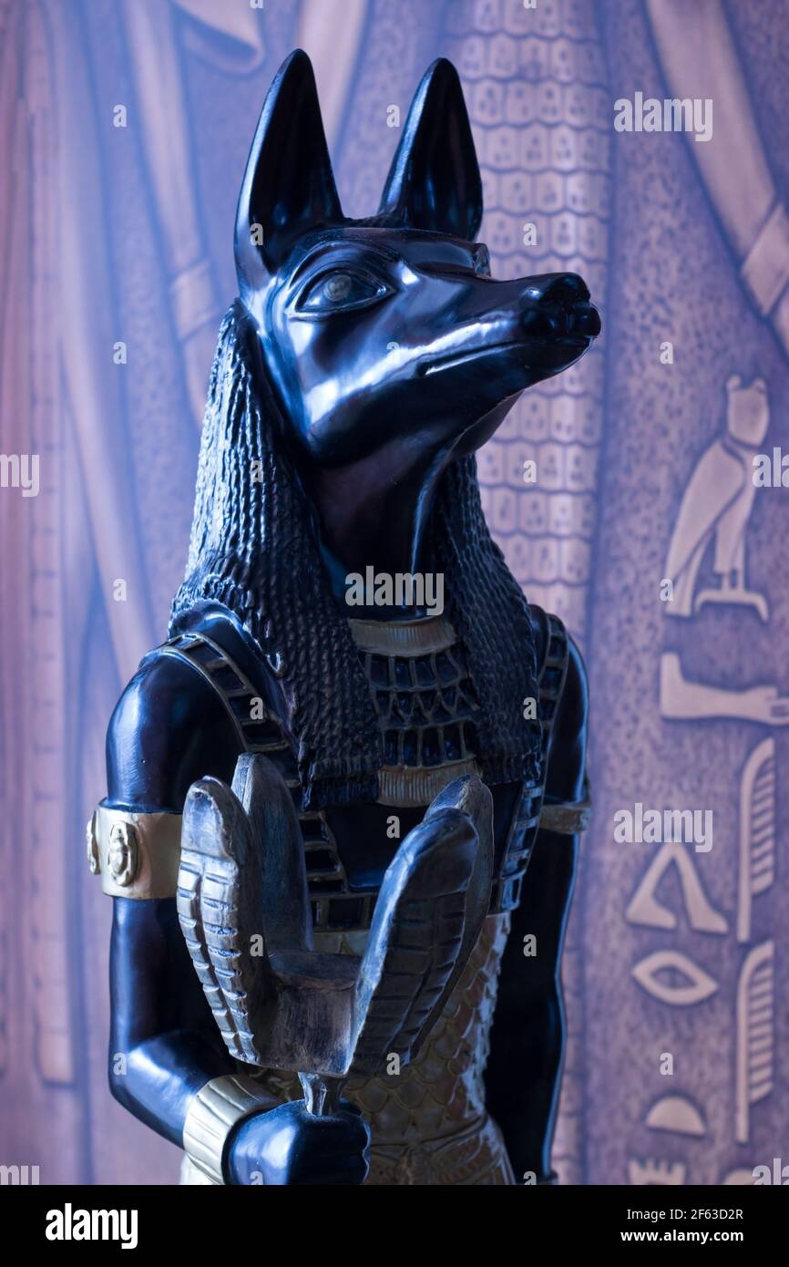 Still life of statue of mythology jackal anubis inpu anup. In the background are Egyptian motifs with hieroglyphs. Stock Photo