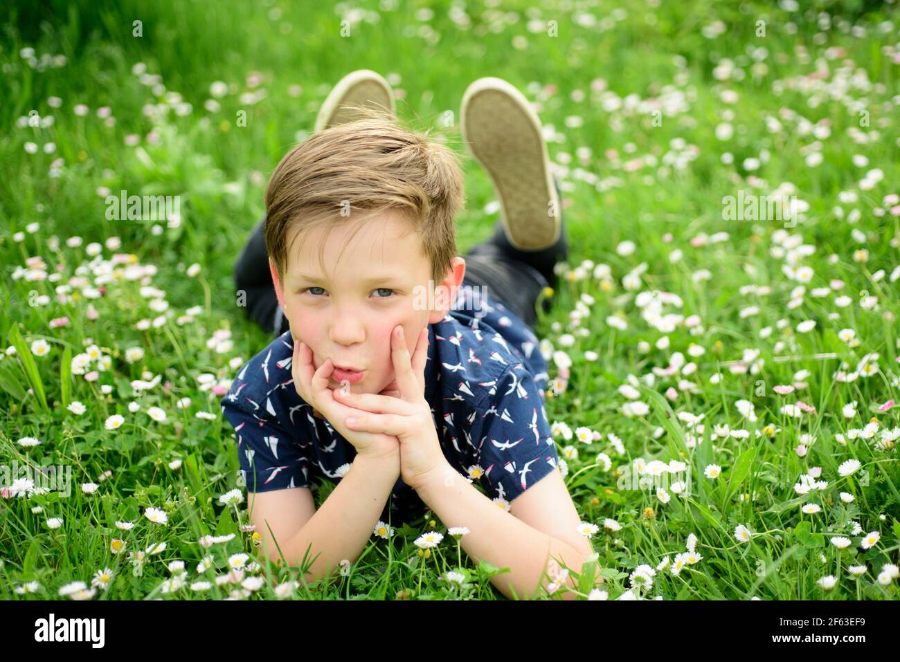 Spring boy resting on grass. Cute kid on field flower. Dreaming child