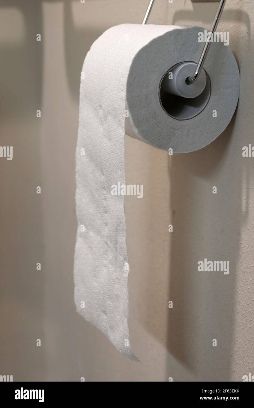 Toilet paper roll in bathroom stocked up Stock Photo Alamy