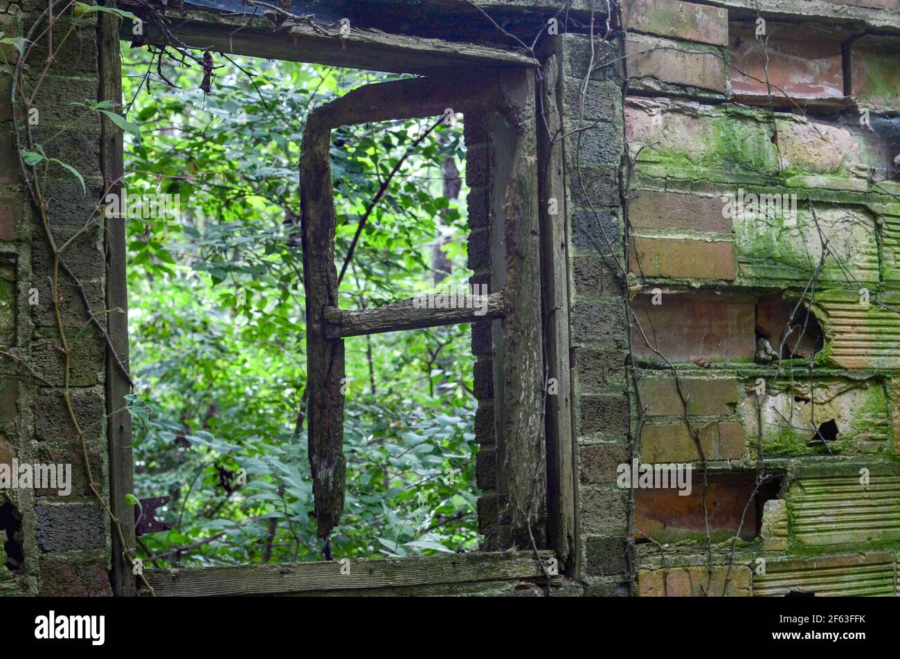 abandoned brick structure in the woods Stock Photo