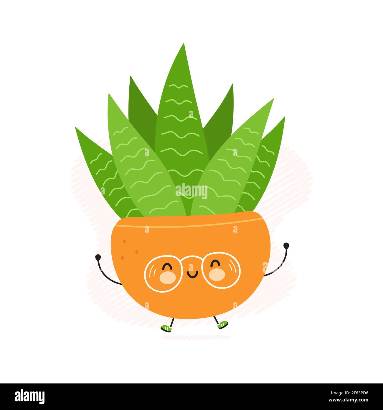 Choose Happy Succulent Choose Happy Succulent