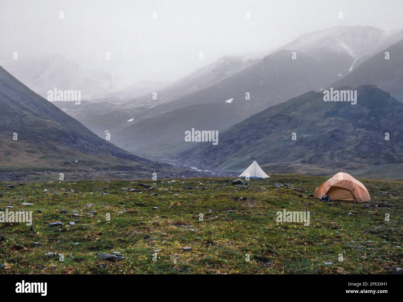 Backpacking tents in the alpine tundraclad mountains of Gates of the