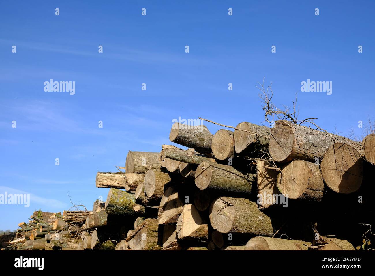 Big pile of wood outdoors in a field in France Stock Photo