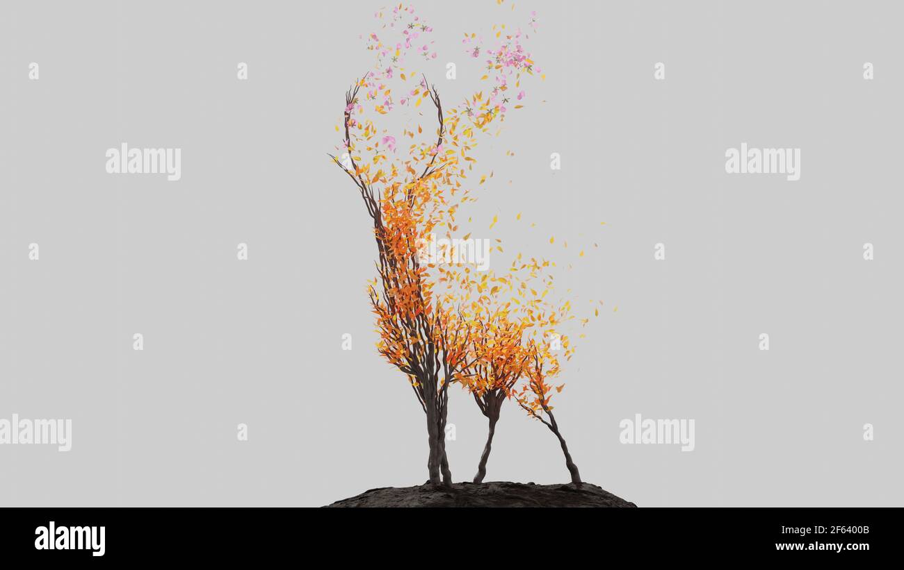 Tree in a shape of a deer. Seasonal transition on white background. Eco ...